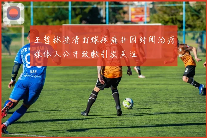 王哲林澄清打球疼痛非因封闭治疗媒体人公开致歉引发关注